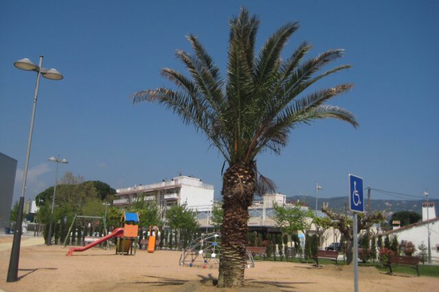 La Palmera