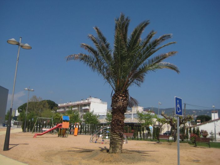 La Palmera Incòmoda