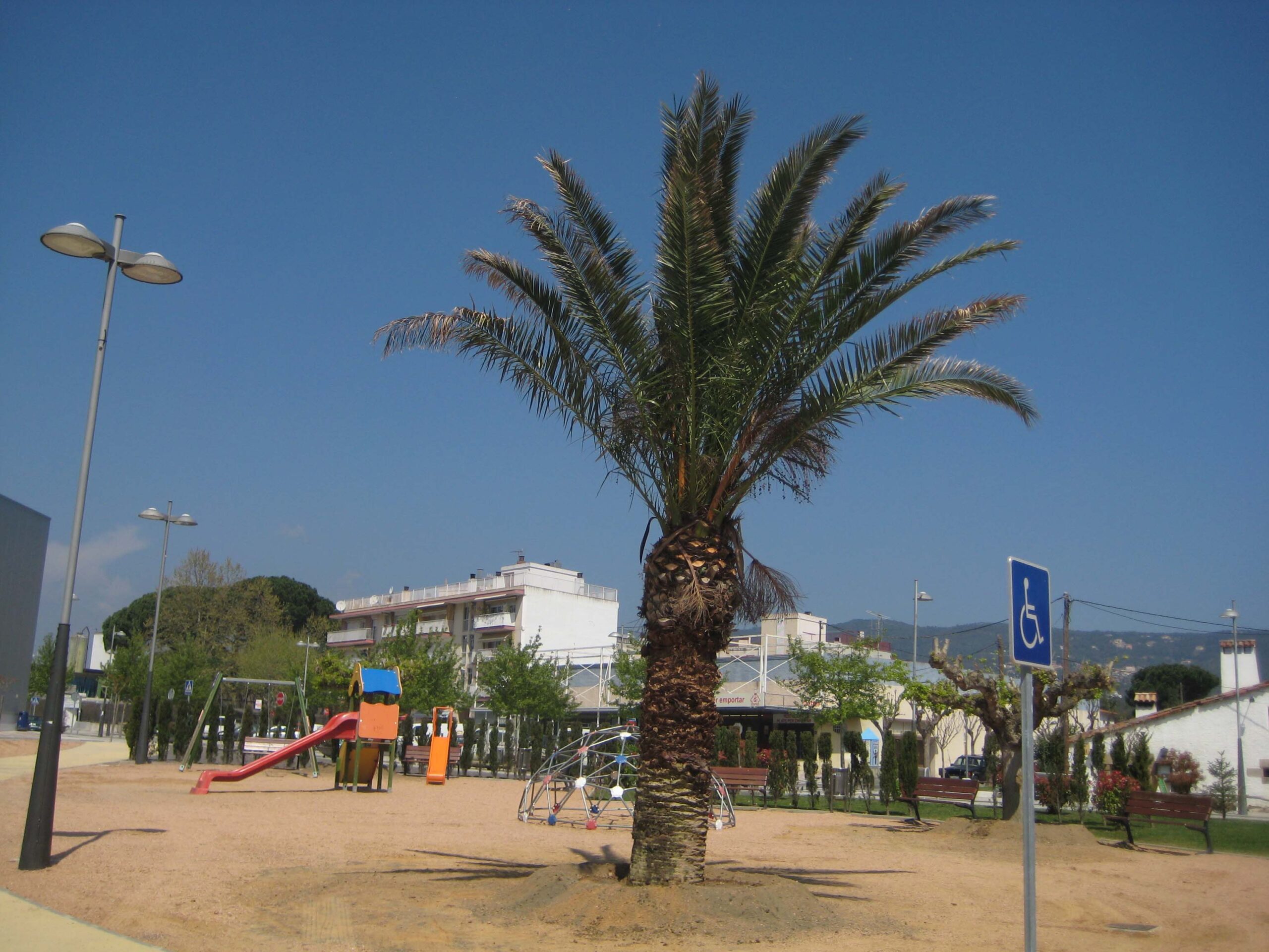 La Palmera