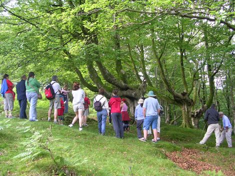 Visites Guiades