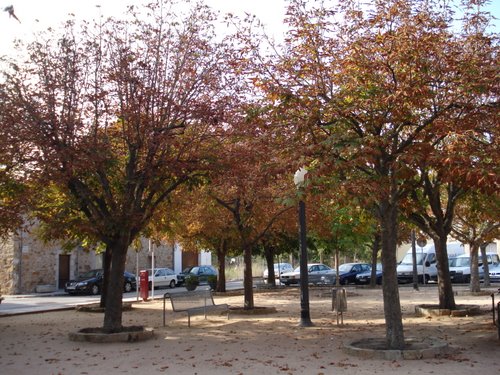 La XXIV Cursa Popular de Santa Cristina va ser un èxit de participació.