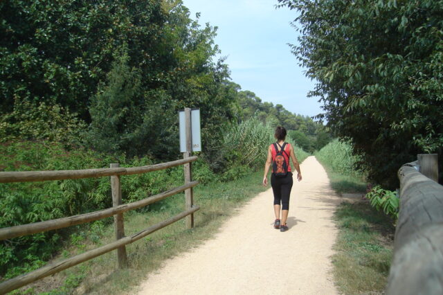 Via verda entre Girona i Quart (ruta del carrilet II: Girona-Sant Feliu de Guíxols). Font: Consorci Vies Verdes de Girona