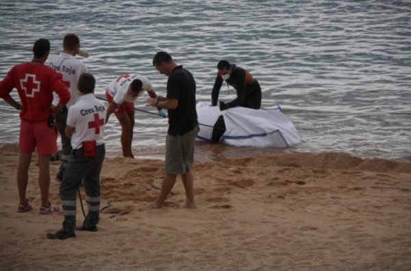 Trobada morta una cria de catxalot a Sant Feliu de Guíxols