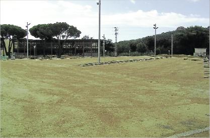 Santa Cristina d´Aro finalitza les obres a la plaça Catalunya i n´obre l´accés .