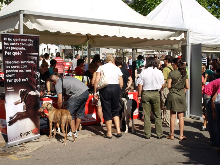 Èxit de participació en la 3ª edició del “FESTIGUAU! una diada de gossos” de Santa Cristina d’Aro