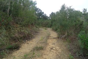 Secret de sumari pel cas del cadàver trobat a Llagostera