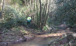 Millores ecològiques al rec Clar i el Riudaura