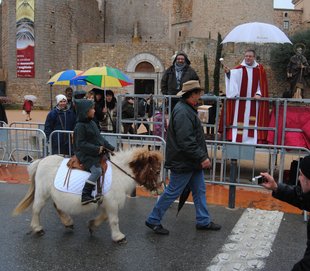 Sant Antoni passat per aigua