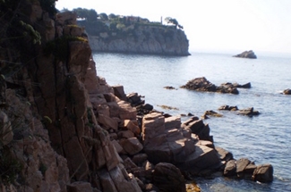 Primer pas per incrementar la protecció del fons litoral de Sant Feliu de Guíxols Primer pas per incrementar la protecció del fons litoral de Sant Feliu de Guíxols