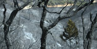 Un altre incendi genera inquietud a Santa Cristina