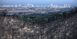 El massís de l’Ardenya comença a respirar tranquil