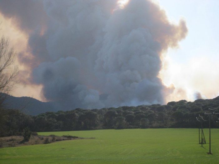 Incendi a la zona de Solius de Santa Cristina d’Aro