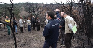 El 30% de franges contra els focs a l’Ardenya, pendents