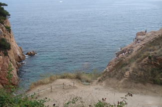 La platja per a gossos canviarà d´ubicació