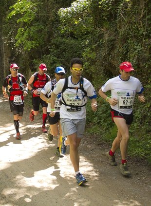 Les vies verdes tindran marató