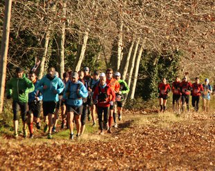 1.000 atletes a la Marató de l’Ardenya