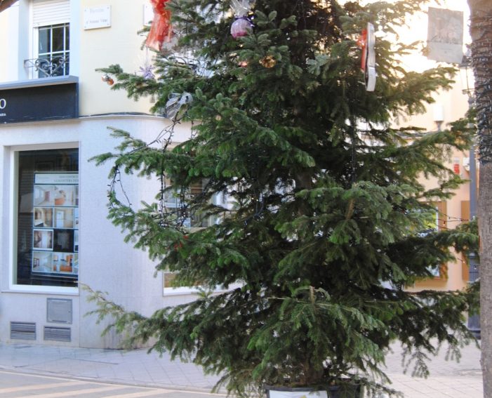 L´Ajuntament recull i recicla els arbres de Nadal