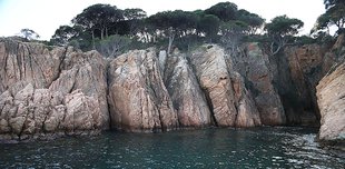 Consens a Sant Feliu per fer una microreserva marina