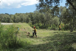 Més finques desbrossades a les Gavarres d’ençà del foc del 2012 a l’Alt Empordà