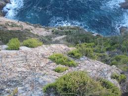 Es trenca el canell en caure per un penya-segat de Sant Feliu Es trenca el canell en caure per un penya-segat de Sant Feliu