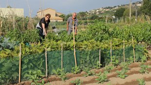 L’agricultura urbana fa planter