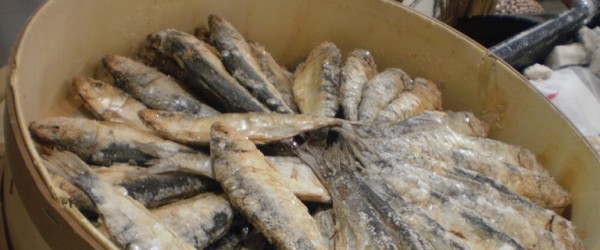 A PUNT LA CUINA DE L’ARENGADA A PUNT LA CUINA DE L’ARENGADA