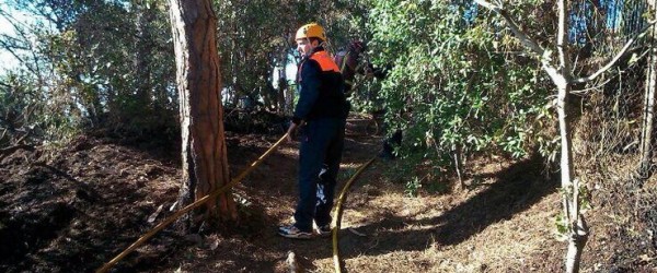 ES CREMA 1 HECTÀREA DE BOSC A SFG