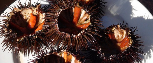 URIÇADA I CARNAVAL GASTRONÒMIC