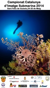 10174880_10152396460888643_3856136177505801369_n