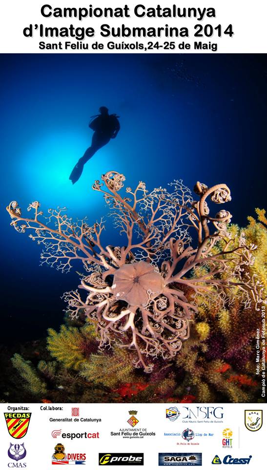 Campionat de Catalunya d’Imatge Submarina 2014