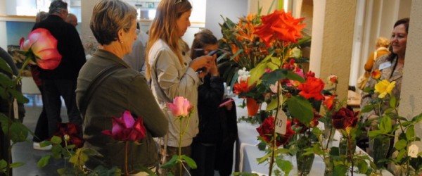 PREMIS CONCURS DE PLANTES I FLORS