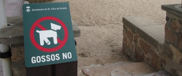 GOSSOS, DEIXALLES I AGENTS DE PAISÀ