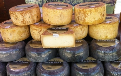 Mercat del vi i el formatge • Diumenge 20 de juliol