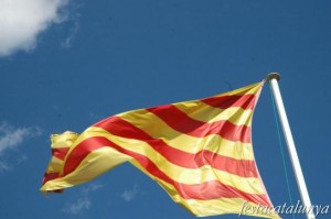 15755_cat_ESCALA_INF_630_419