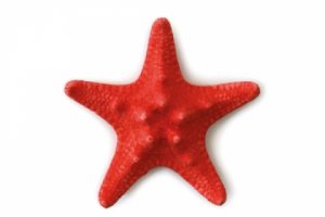 5d86ca7df72084d7a770d805058ab00d_L