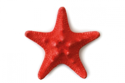 Activitats al Passeig Marítim • 7 de setembre