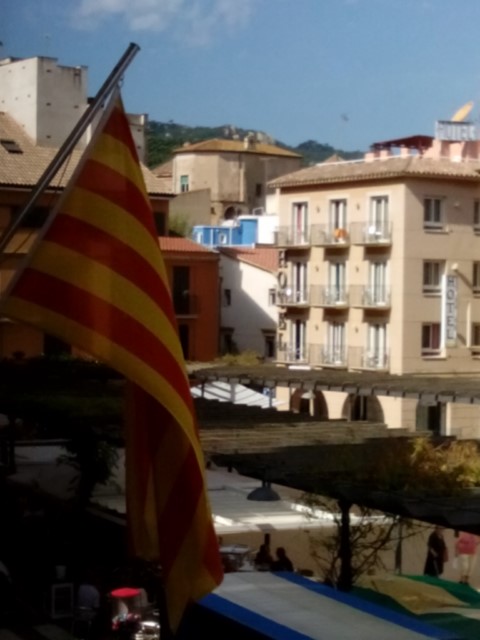 Senyeres, flors i plantes als balcons!