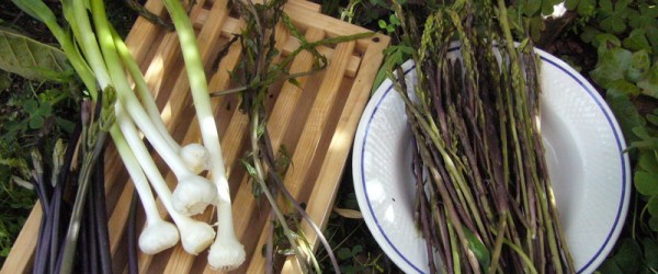 ELS GENS DE LES PLANTES QUE MENGEM