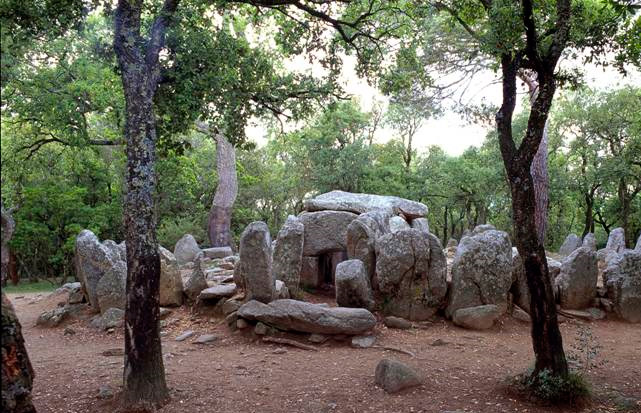 La cova d’en Daina
