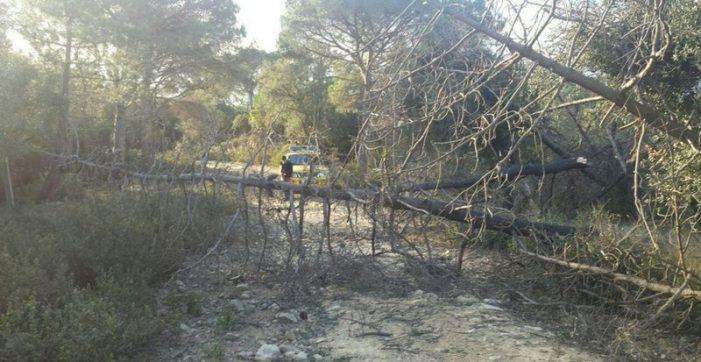 Una vintena d’incidents pel vent a la demarcació