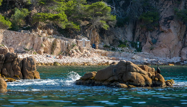 NOVA INFORMACIÓ I TANQUES A LA CALA DEL VIGATÀ