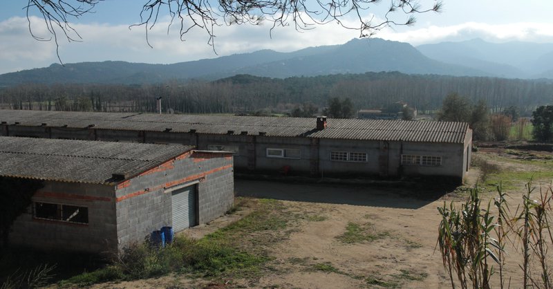 Santa Cristina d'Aro. Solius. Mas Cateura. Naus a la zona on projecten construir dues naus noves per a 20.000 gallines ponedores i que topen amb l'oposició d'alguns veïns