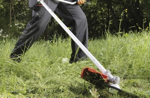 COMENÇARAN ELS TREBALLS DE RETIRADA D’HERBES