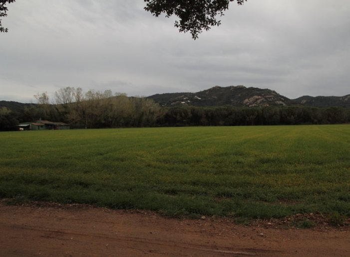 Llum verd a desviar la riera del Vilar a Santa Cristina