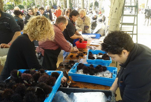 ARRENCA LA CAMPANYA “TEMPS D’URIÇOS” A SANT FELIU