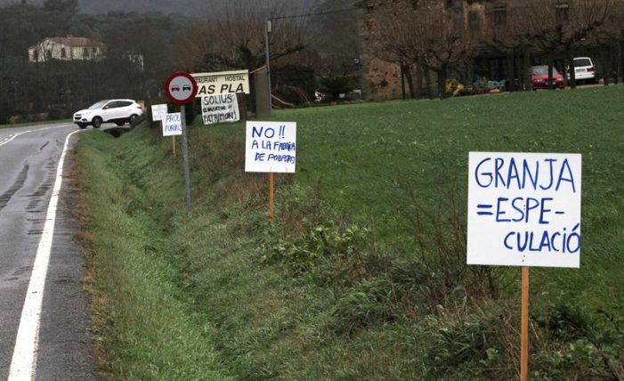 El govern de Santa Cristina dona permís d’obres a la granja d’engreix de Solius