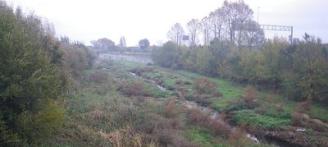 L’ACA neteja de vegetació un tram de la llera del riu Ridaura