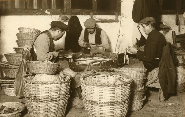 L’ARJAU, MONOGRÀFIC SOBRE EL MÓN DEL SURO
