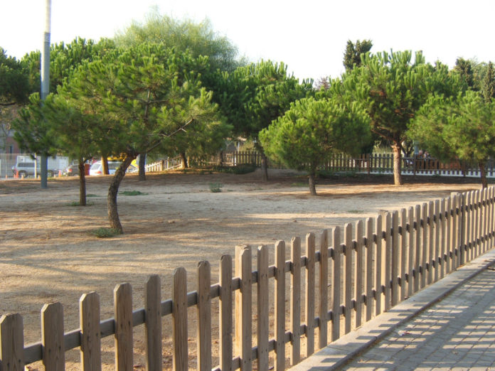 Platja d’Aro preveu ampliar les zones per a gossos