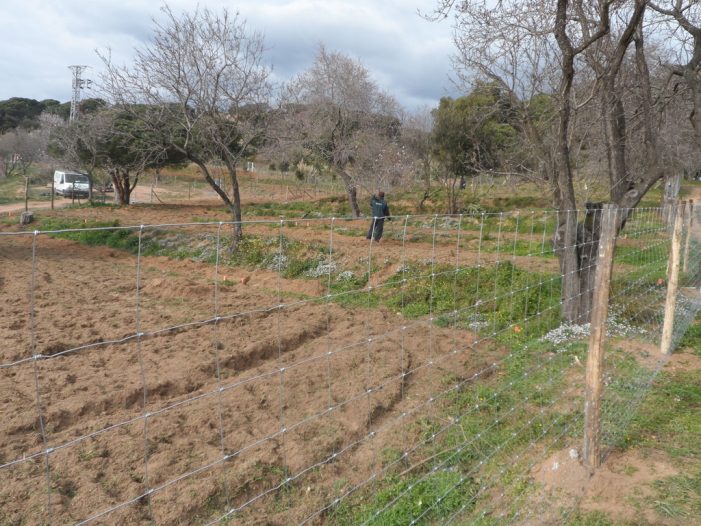 Voleu optar a conrear un hort urbà? Nou període de sol·licituds per a la borsa de vacants